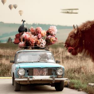 default playlist img