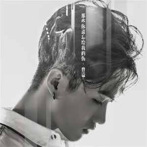 Listen to 那些你遗忘给我的伤 song with lyrics from 曾溢