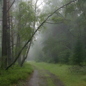 Listen to так больно (Explicit) song with lyrics from kurokov