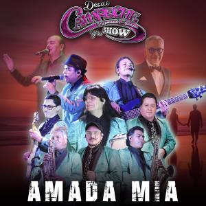 ดาวน์โหลดและฟังเพลง Amada mia พร้อมเนื้อเพลงจาก Campeche Show Con Ray