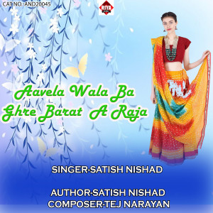 Listen to Aavela Wala Ba Ghre Barat A Raja song with lyrics from Satish Nishad
