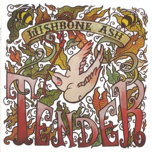 ดาวน์โหลดและฟังเพลง Everybody Needs A Friend พร้อมเนื้อเพลงจาก Wishbone Ash
