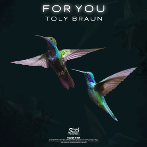 Listen to For You song with lyrics from Toly Braun