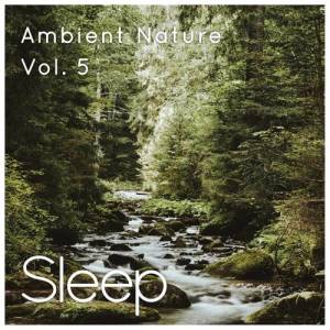 ดาวน์โหลดและฟังเพลง Ambient Nature Sleep Sounds, Pt. 24 พร้อมเนื้อเพลงจาก Sleepy Times