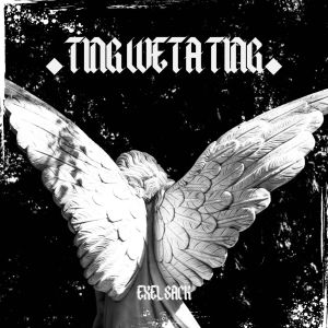 Album Ting Weta Ting oleh Exel Sack