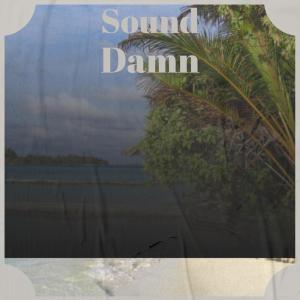 Album Sound Damn from Various