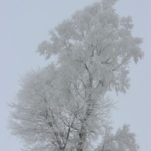 收听Mark Wiggles的Affirmations歌词歌曲