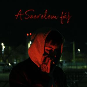 อัลบัม A Szerelem fáj (feat. LyE) [Explicit] ศิลปิน 21Rose