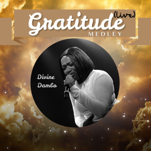 Listen to Gratitude Medley (Live) song with lyrics from Divine Dambo