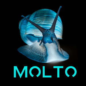 ดาวน์โหลดและฟังเพลง Molto (Produkkt remix) พร้อมเนื้อเพลงจาก Lilith Primavera