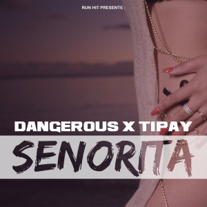 收听Armed & Dangerous的Senorita (Extend)歌词歌曲