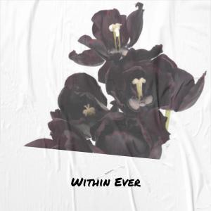 Album Within Ever from Various