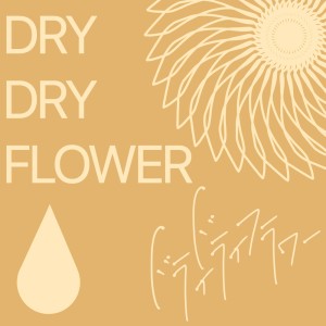 Album Dry Dry Flower from TOA