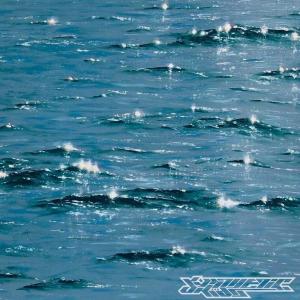 收聽pinkperc的benji passed out at the function (feat. Hxpeless) (Explicit)歌詞歌曲