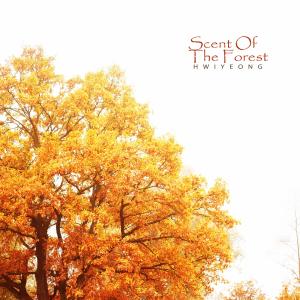 Scent Of The Forest