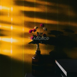 Ana Luiz的專輯teardrop