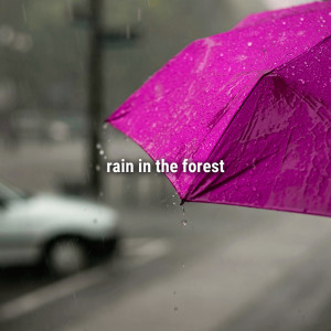 Sound Effects Factory的專輯rain in the forest