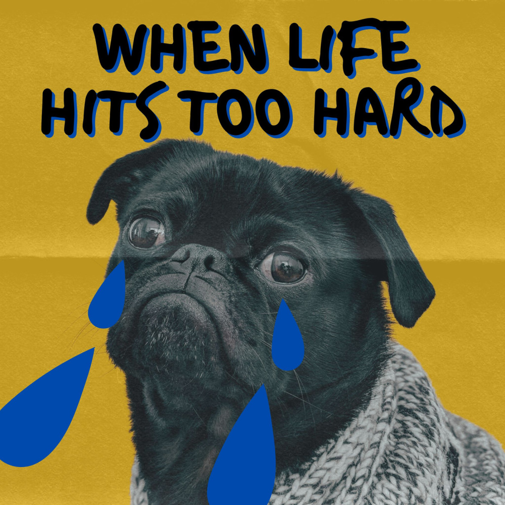 Never Learned To Dance (Explicit)