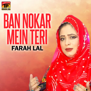 Album Ban Nokar Mein Teri from 