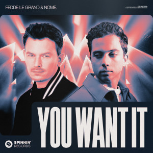 Fedde Le Grand的專輯You Want It (Extended Mix)