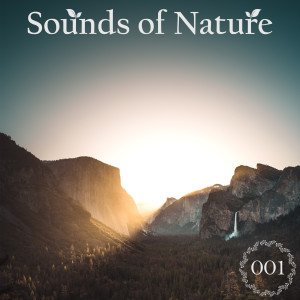 Album Sounds of Nature 001 oleh Within & Beyond