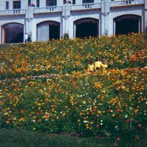 ดาวน์โหลดและฟังเพลง Bowling Green พร้อมเนื้อเพลงจาก Altameda