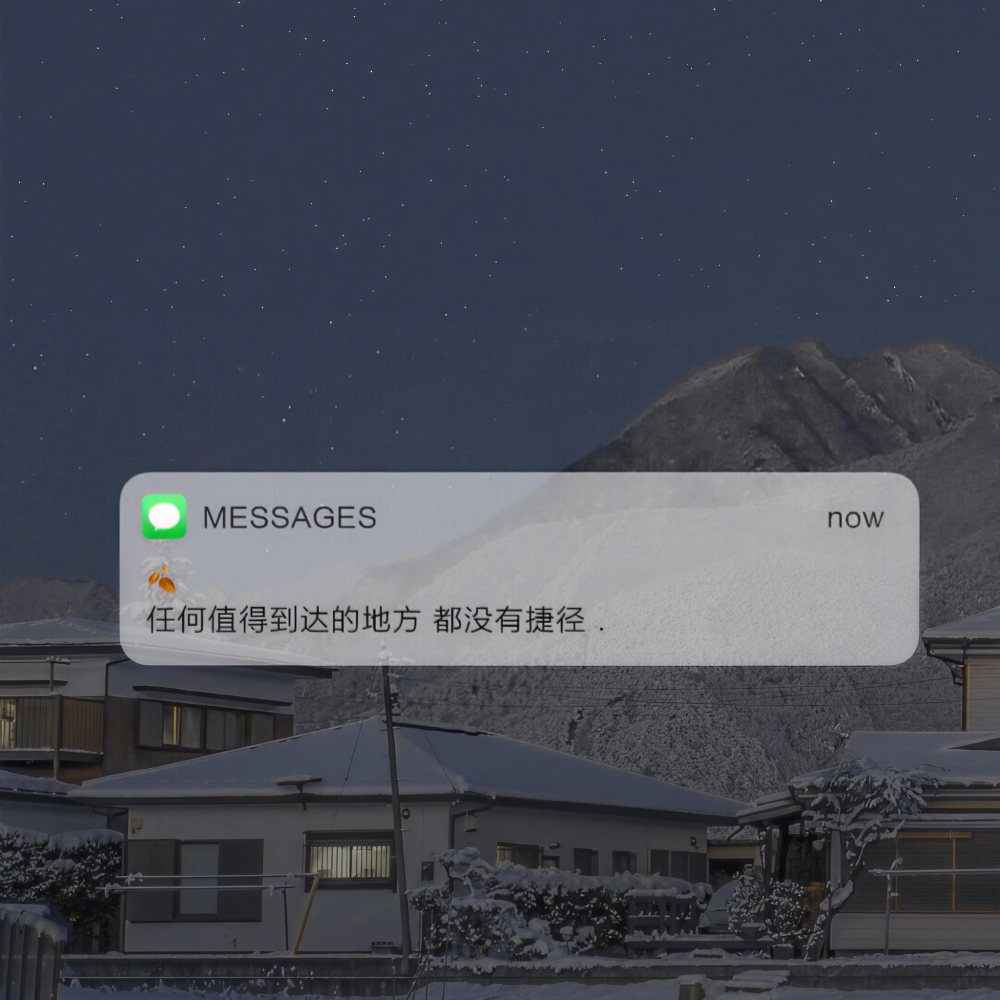 ladies and gentlemen (抖音热播版)