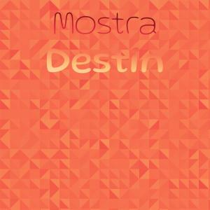 Various Artists的專輯Mostra Destin