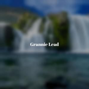 Grannie Lead dari Various Artists