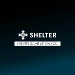 Album I never gave up on you from Shelter