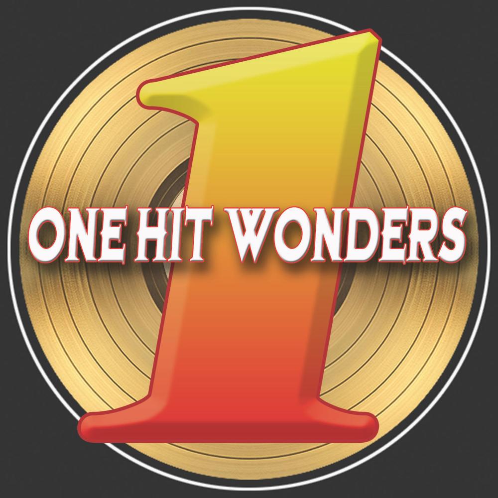 One Hit Wonders Re Recorded Versions อัลบั้มของ Various Artists