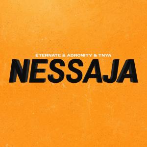 Adronity的專輯Nessaja