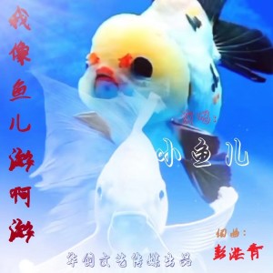 Album 我像鱼儿游啊游 from 彭洪青