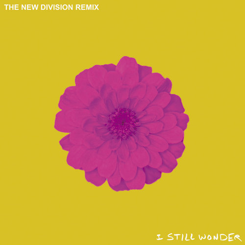 I Still Wonder (The New Division Remix)