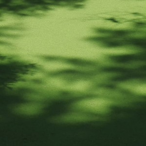 收听曹一阳的情难枕（早知道爱会这样伤人） (合唱版)歌词歌曲