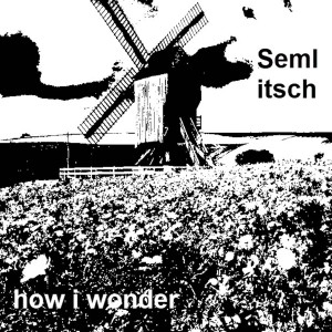 ดาวน์โหลดและฟังเพลง How I Wonder พร้อมเนื้อเพลงจาก Semlitsch