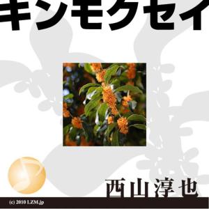 อัลบัม Kinmokusei -Single ศิลปิน Nishiyama Junya