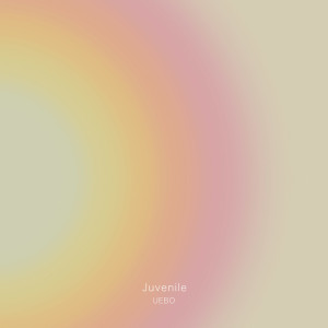 Listen to Juvenile song with lyrics from UEBO