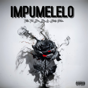 收聽Tebo Tee Da - Dj的Impumelelo (Explicit)歌詞歌曲