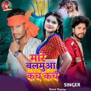 Album Mare Balamua Kach Kach from RAHUL RAJAIYA