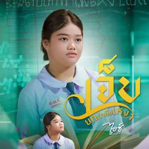 Album เจ็บยกกำลังเหงา from น้องไอซ์ สารคาม