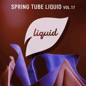 Various Artists的專輯Spring Tube Liquid, Vol. 17