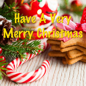 Listen to We Wish You A Merry Christmas song with lyrics from Paravarno