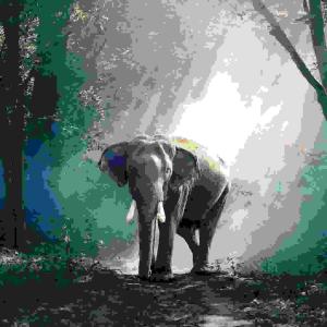 Dengarkan SAVE THE PLANET lagu dari Jorge Paulo dengan lirik