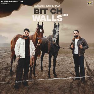 Listen to BIT CH ON WALLS song with lyrics from Farmaan
