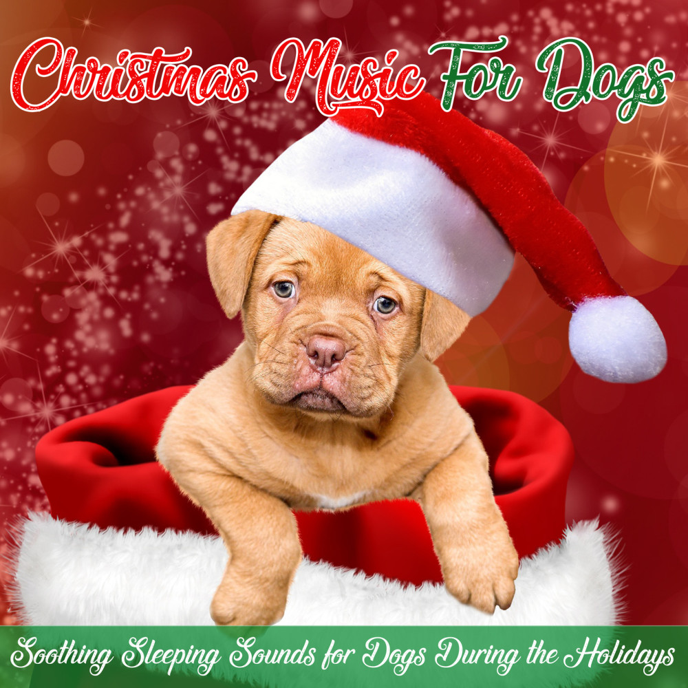 Last Christmas (Soothing Dog Sounds)