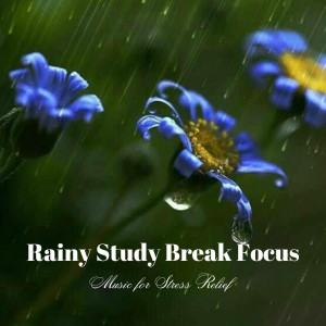 Rainy Study Break Focus: Music for Stress Relief dari A Sudden Rainstorm