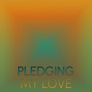 Album Pledging My Love from Silvia Natiello-Spiller