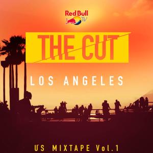 Dengarkan lagu Tell Me Why (From Red Bull’s the Cut: LA) (Explicit) nyanyian Jon Swaii dengan lirik