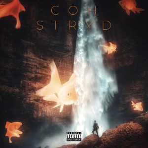 Album Сон from STRYD